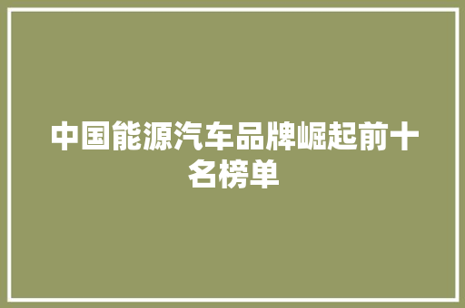 中国能源汽车品牌崛起前十名榜单