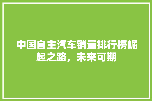 中国自主汽车销量排行榜崛起之路，未来可期
