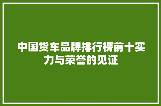 中国货车品牌排行榜前十实力与荣誉的见证