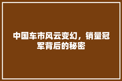 中国车市风云变幻，销量冠军背后的秘密