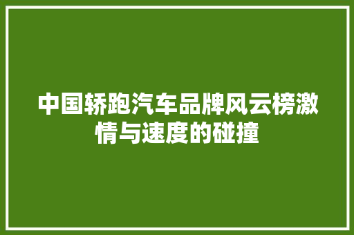 中国轿跑汽车品牌风云榜激情与速度的碰撞