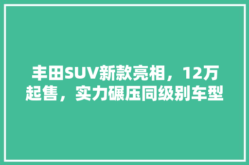 丰田SUV新款亮相，12万起售，实力碾压同级别车型