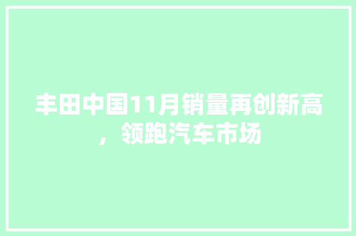 丰田中国11月销量再创新高，领跑汽车市场