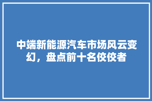 中端新能源汽车市场风云变幻，盘点前十名佼佼者