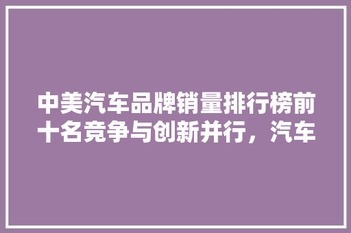中美汽车品牌销量排行榜前十名竞争与创新并行，汽车产业迈向新未来