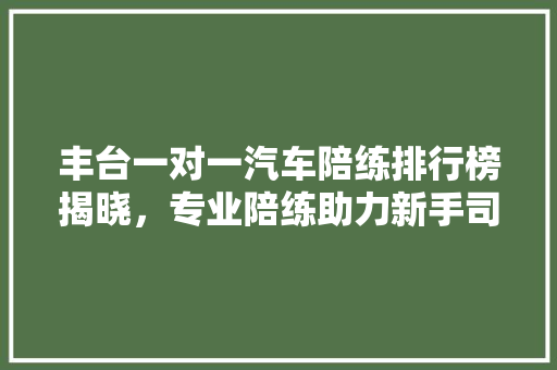 丰台一对一汽车陪练排行榜揭晓，专业陪练助力新手司机安全上路