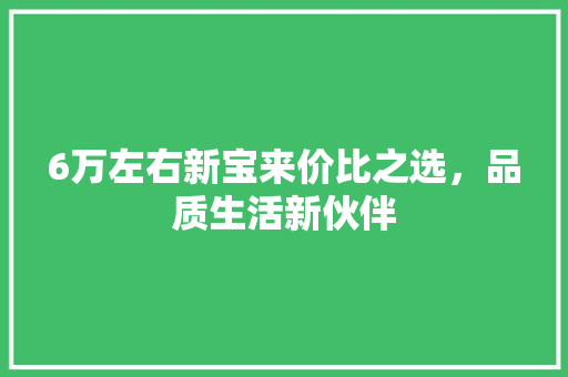 6万左右新宝来价比之选，品质生活新伙伴