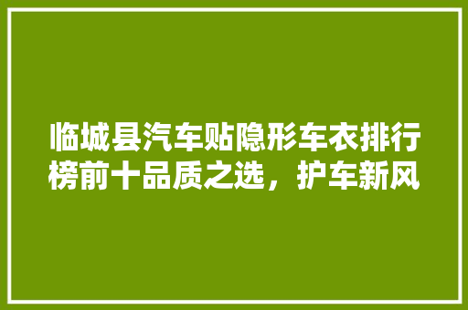 临城县汽车贴隐形车衣排行榜前十品质之选，护车新风尚