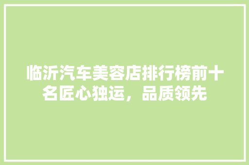 临沂汽车美容店排行榜前十名匠心独运，品质领先