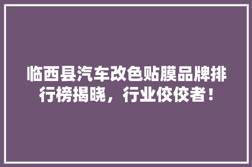 临西县汽车改色贴膜品牌排行榜揭晓，行业佼佼者！