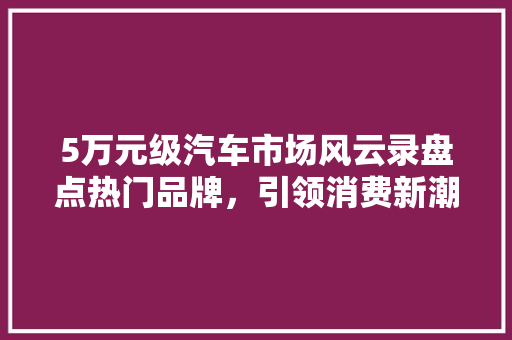 5万元级汽车市场风云录盘点热门品牌，引领消费新潮流