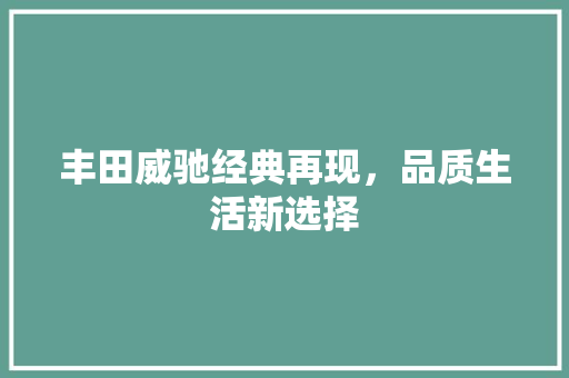 丰田威驰经典再现，品质生活新选择