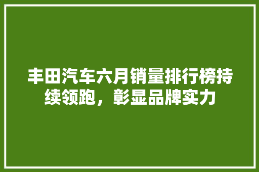 丰田汽车六月销量排行榜持续领跑，彰显品牌实力