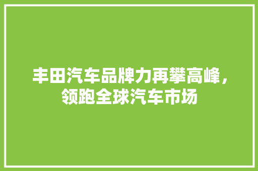 丰田汽车品牌力再攀高峰，领跑全球汽车市场