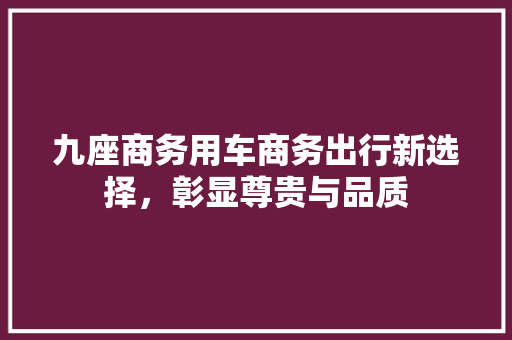 九座商务用车商务出行新选择，彰显尊贵与品质