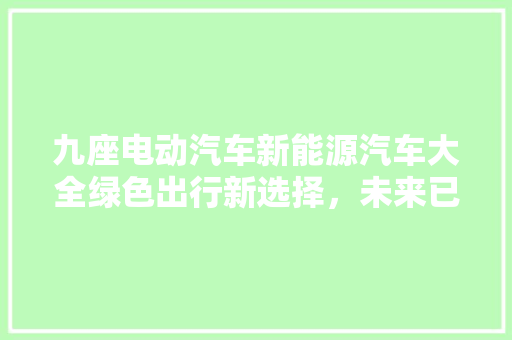 九座电动汽车新能源汽车大全绿色出行新选择，未来已来