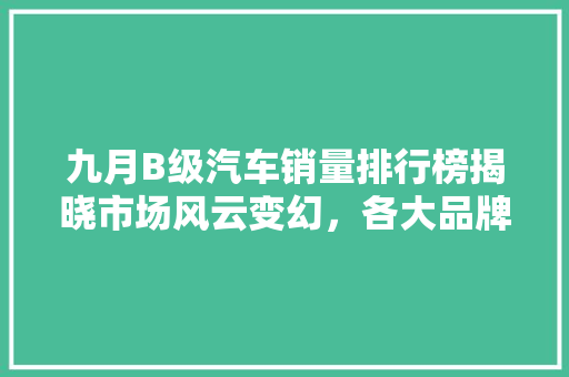 九月B级汽车销量排行榜揭晓市场风云变幻，各大品牌激战正酣
