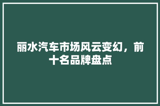 丽水汽车市场风云变幻，前十名品牌盘点