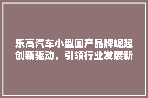 乐高汽车小型国产品牌崛起创新驱动，引领行业发展新潮流
