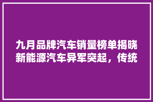 九月品牌汽车销量榜单揭晓新能源汽车异军突起，传统车企面临挑战