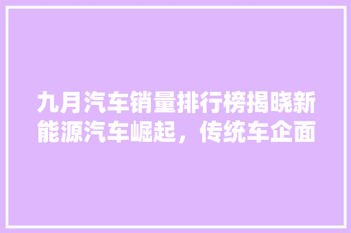 九月汽车销量排行榜揭晓新能源汽车崛起，传统车企面临挑战