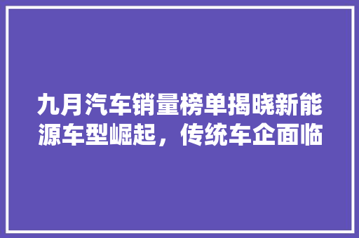 九月汽车销量榜单揭晓新能源车型崛起，传统车企面临挑战