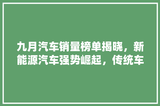 九月汽车销量榜单揭晓，新能源汽车强势崛起，传统车企面临挑战