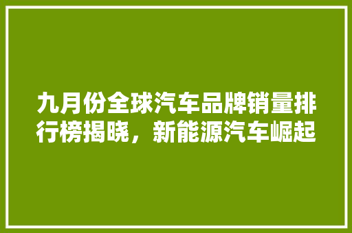 九月份全球汽车品牌销量排行榜揭晓，新能源汽车崛起趋势明显