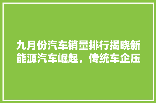 九月份汽车销量排行揭晓新能源汽车崛起，传统车企压力倍增