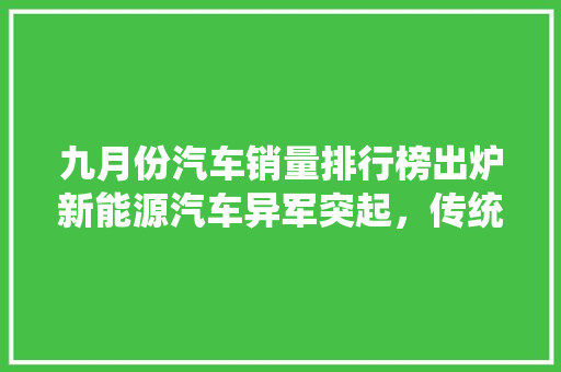 九月份汽车销量排行榜出炉新能源汽车异军突起，传统车企面临挑战