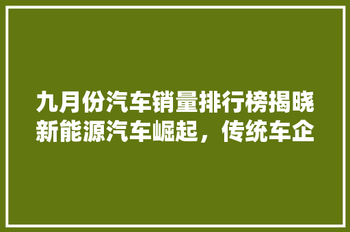 九月份汽车销量排行榜揭晓新能源汽车崛起，传统车企面临挑战