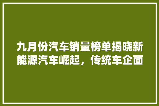九月份汽车销量榜单揭晓新能源汽车崛起，传统车企面临挑战