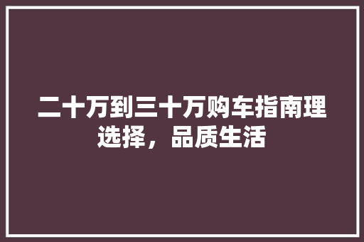 二十万到三十万购车指南理选择，品质生活