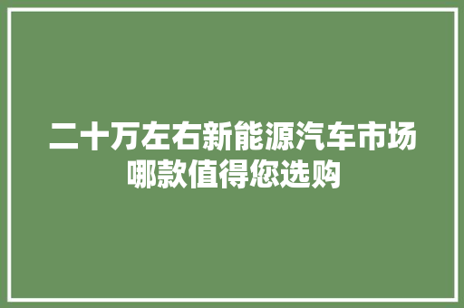 二十万左右新能源汽车市场哪款值得您选购