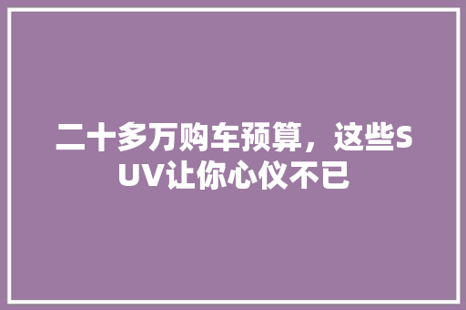 二十多万购车预算，这些SUV让你心仪不已