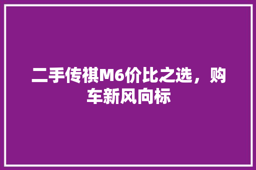 二手传祺M6价比之选，购车新风向标
