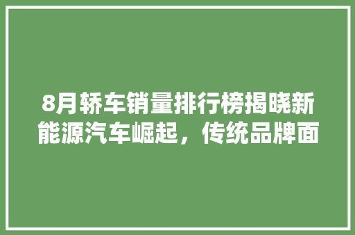 8月轿车销量排行榜揭晓新能源汽车崛起，传统品牌面临挑战