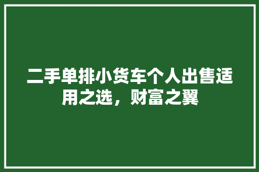 二手单排小货车个人出售适用之选，财富之翼