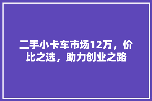二手小卡车市场12万，价比之选，助力创业之路