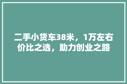 二手小货车38米，1万左右价比之选，助力创业之路