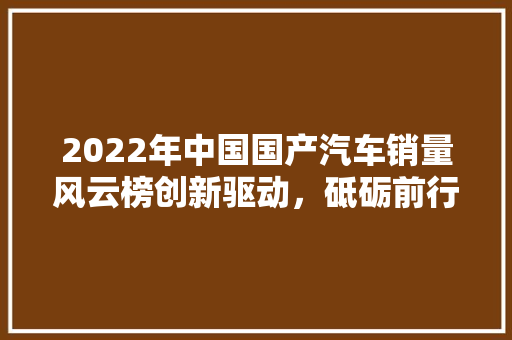 2022年中国国产汽车销量风云榜创新驱动，砥砺前行