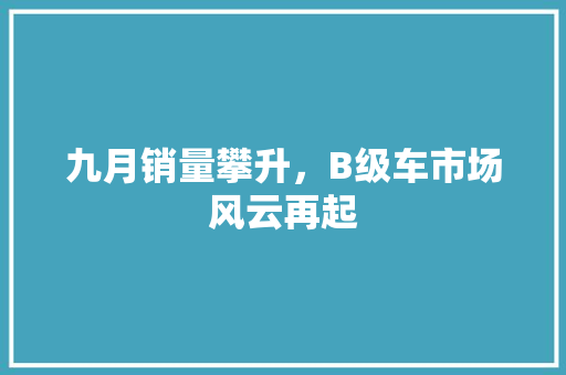 九月销量攀升，B级车市场风云再起