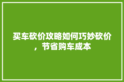 买车砍价攻略如何巧妙砍价，节省购车成本
