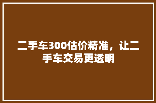 二手车300估价精准，让二手车交易更透明