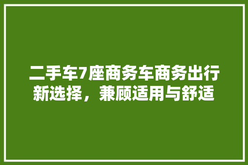 二手车7座商务车商务出行新选择，兼顾适用与舒适