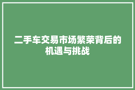 二手车交易市场繁荣背后的机遇与挑战