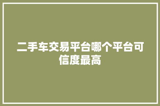 二手车交易平台哪个平台可信度最高