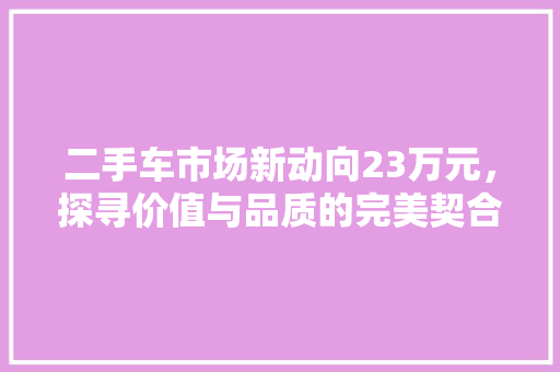 二手车市场新动向23万元，探寻价值与品质的完美契合