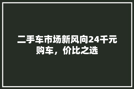 二手车市场新风向24千元购车，价比之选