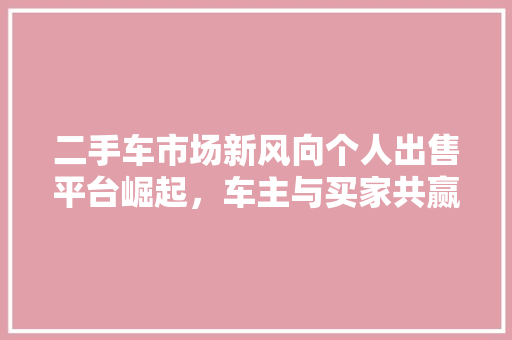 二手车市场新风向个人出售平台崛起，车主与买家共赢新时代